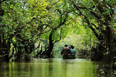 Ratargul Swamp Forest