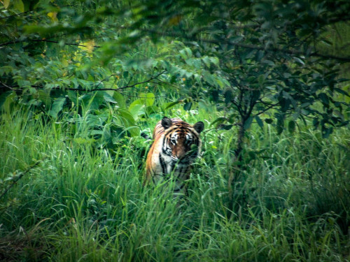 Gazipur Safari Park